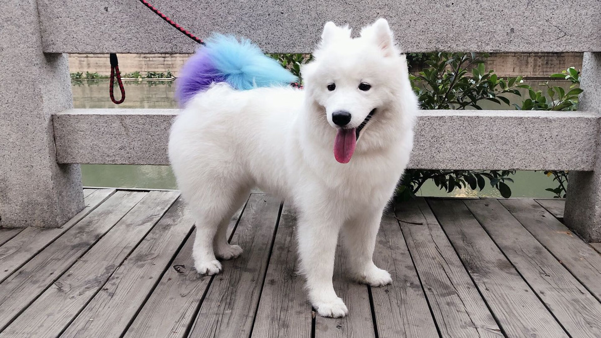 《V5战队新星Lina崭露头角,未来可期》,v5战队新一