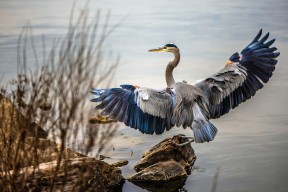 开云体育开云-全国青少年“环保篮球公益赛”在兰州持续火热，践行绿色发展理念