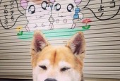 开云体育在线入口-“西甲明星闪耀全场，助力球队冲刺冠军”，西甲2021官方赞助