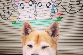 开云体育在线入口-“西甲明星闪耀全场,助力球队冲刺冠军”,西甲2021官方赞助