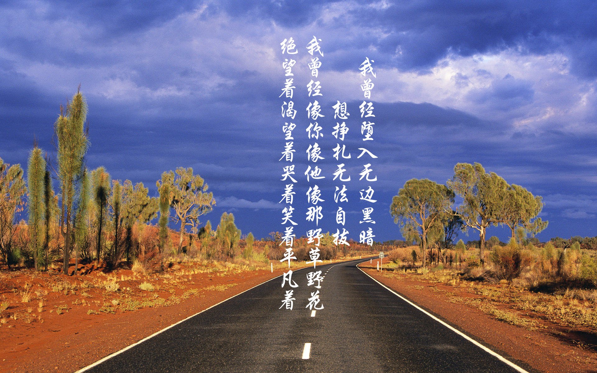 中超明星球员转会动态全解析,中超转会身价排名