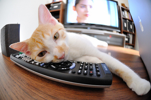 全球马拉松热潮：城市变成赛道，2021全球马拉松