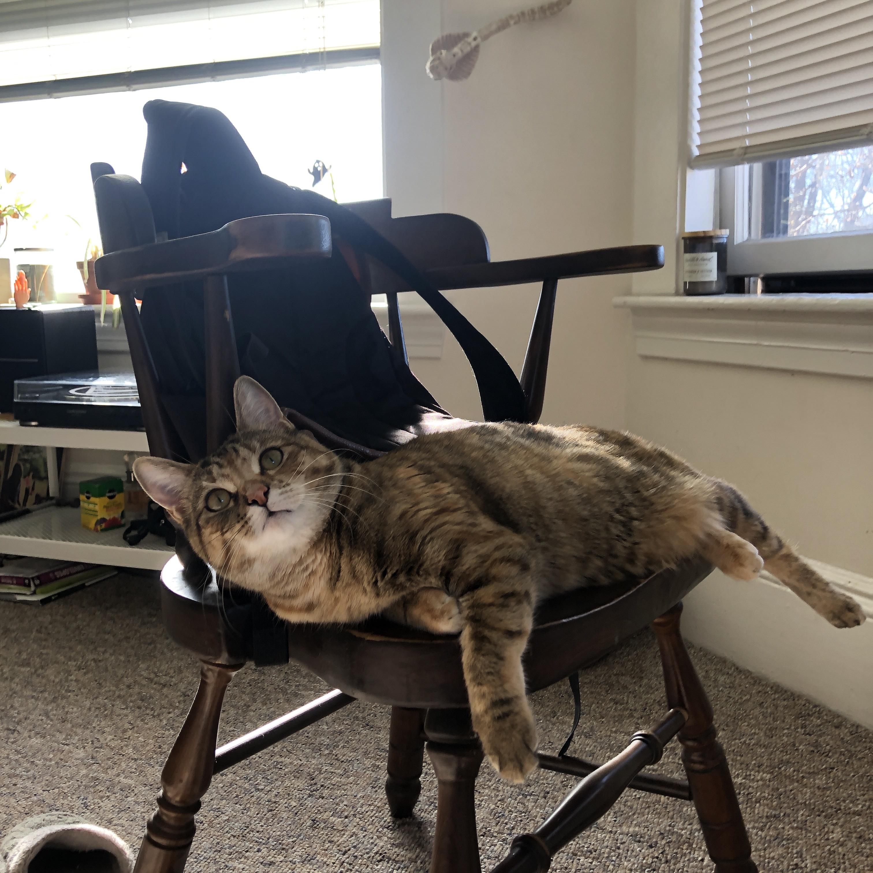 尤文图斯新援表现抢眼，士气提升，尤文图斯引援最新消息